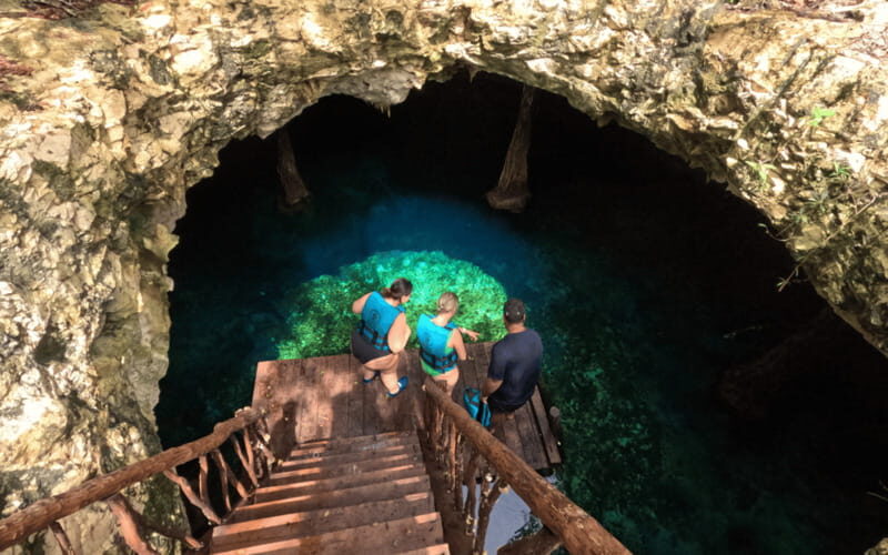 Riviera Maya: Tulum Ruins Tour, Turtle Swimming, Cenotes, and Lunch. - Key Points