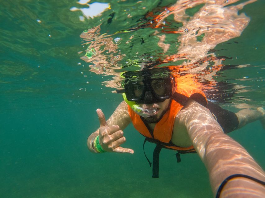Riviera Maya: Turtles Snorkeling and Cenote Cave - Inclusions