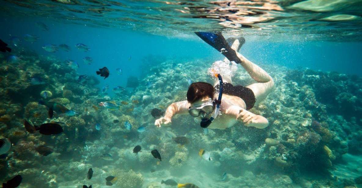 Riviera Maya: Two-Reef Snorkeling Experience - Included in the Adventure