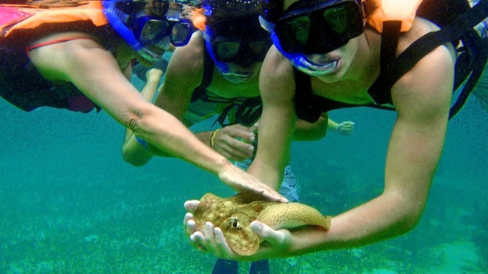 Riviera Maya: Two-Reef Snorkeling Experience - Stunning Natural Surroundings
