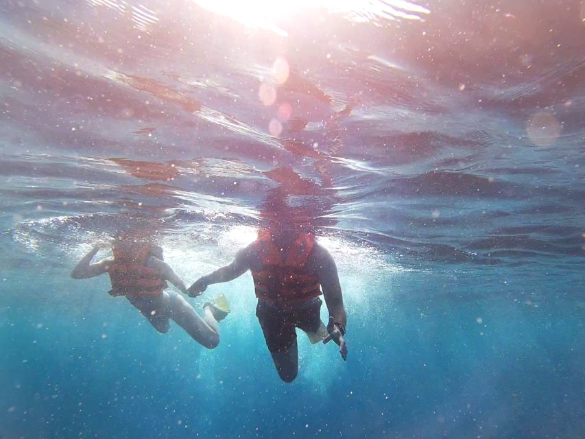Riviera Maya: Whale Shark Tour - Inclusions