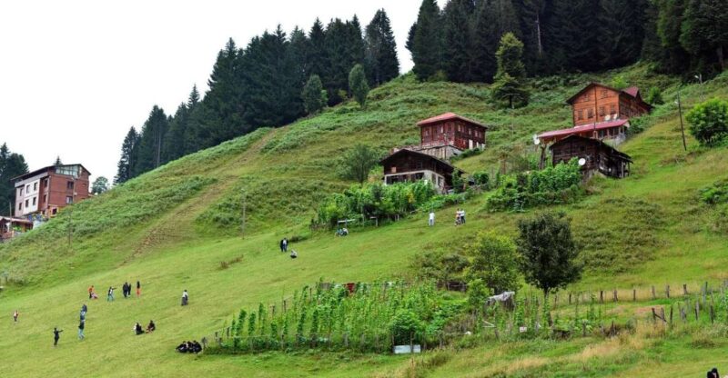 Rize: Ayder Tour & Kaçkar Mountains & Fırtına Valley - Itinerary Highlights