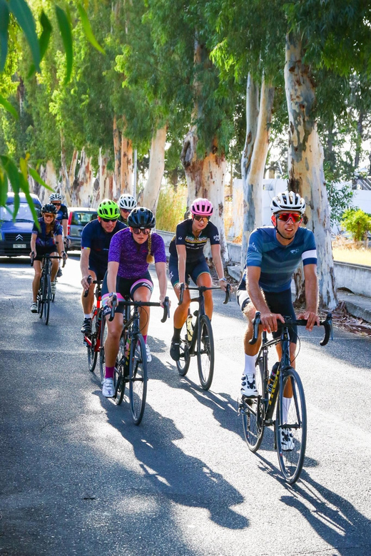 Road Bike Tour - Bike Rental Details