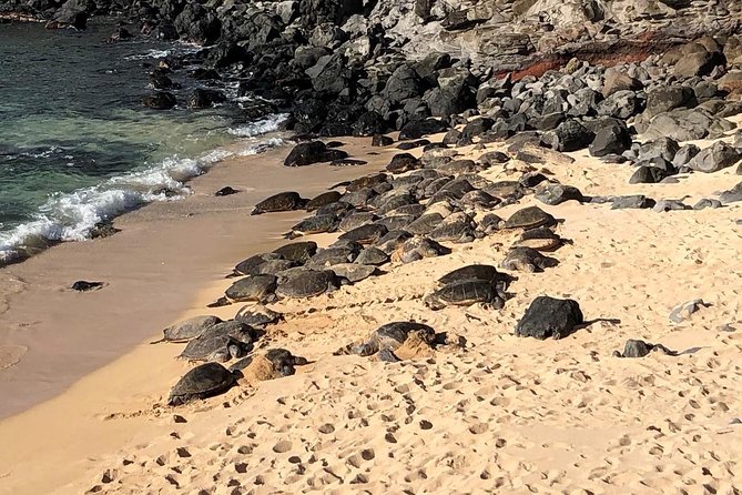 Road to Hana Adventure Tour - Best Tour on Maui - Pricing Information