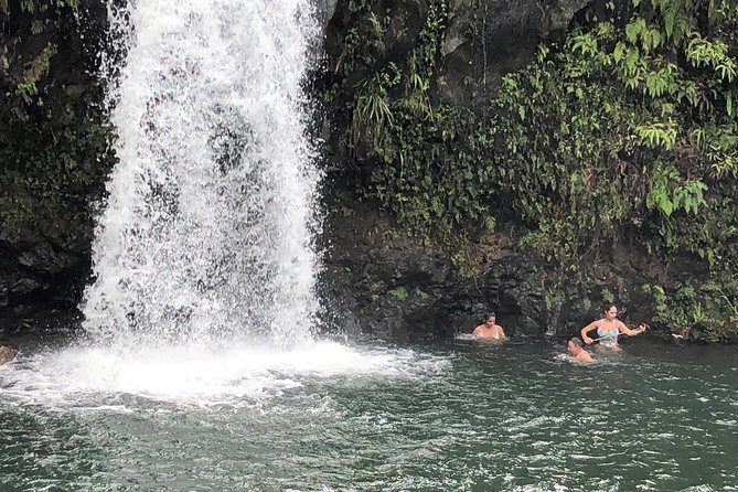 Road to Hana Adventure Tour - Best Tour on Maui - Dietary Options