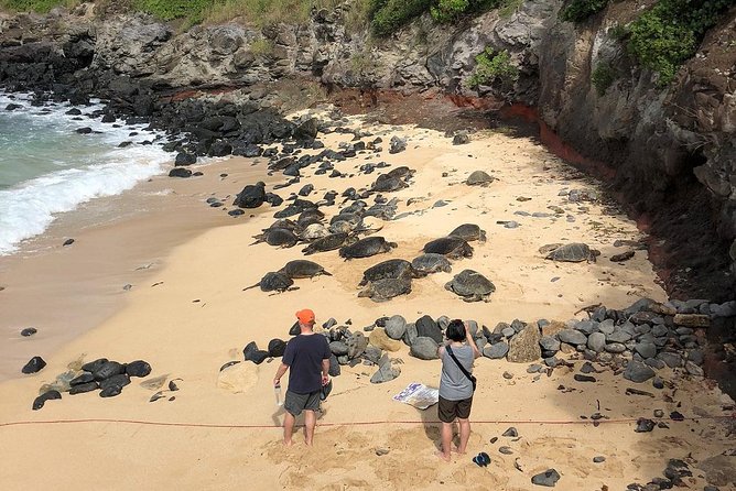 Road to Hana Adventure Tour - Best Tour on Maui - Frequently Asked Questions