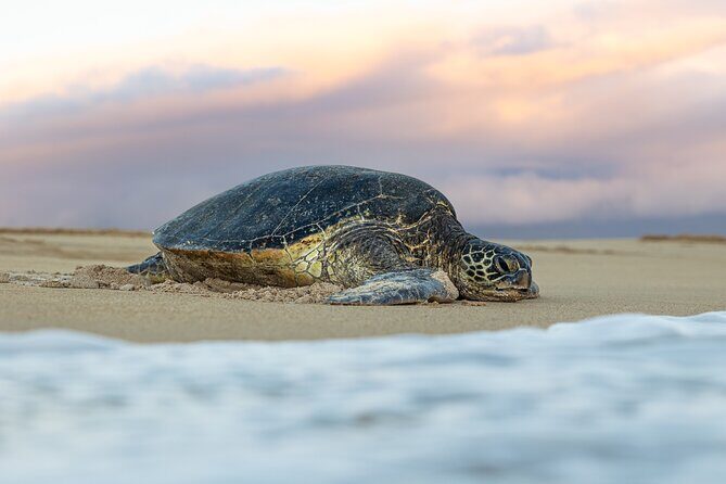 Road to Hana Halfway and Haleakala National Park - The Itinerary: What to Expect