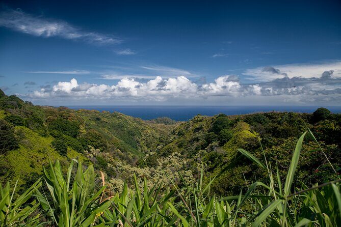 Road to Hana Halfway and Haleakala National Park - Who Should Consider This Tour?