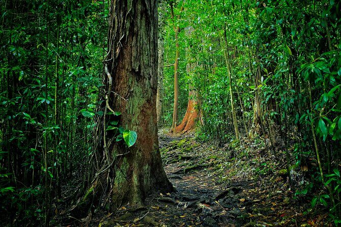 Road to Hana Halfway Tour - Why the Price Matters: Is It Worth It?