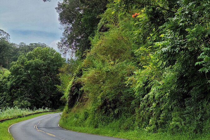 Road to Hana Private Full Day Tour - The Itinerary: What You’ll See and Do