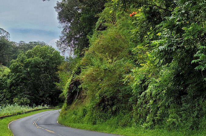Road to Hana Private Full Day Tour - The Cost: Is It Worth It?