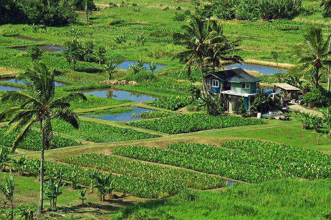 Road to Hana Tour With Lunch and Pickup - Tour Operators