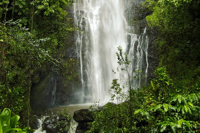Road to Hana Tour With Lunch and Pickup - Additional Information