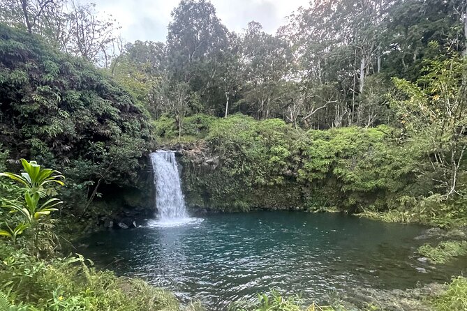 Road to Hana Tours to Black Sand Beach, Waterfalls, and More! - Expert Tour Guide Experience
