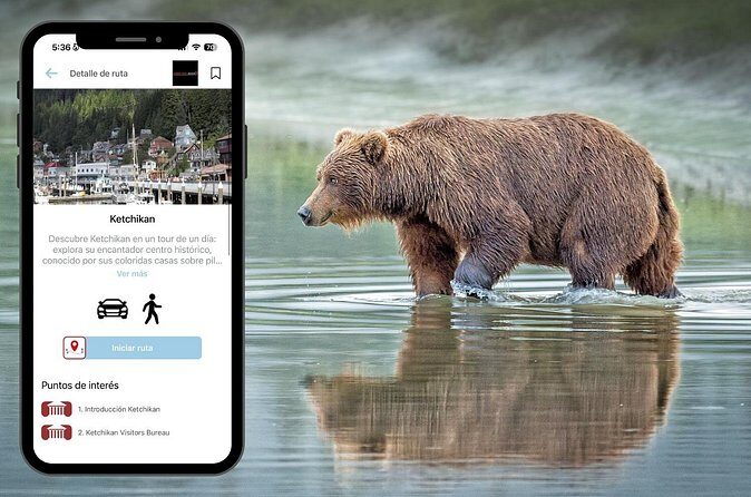 Road Trip through Alaska - Frequently Asked Questions