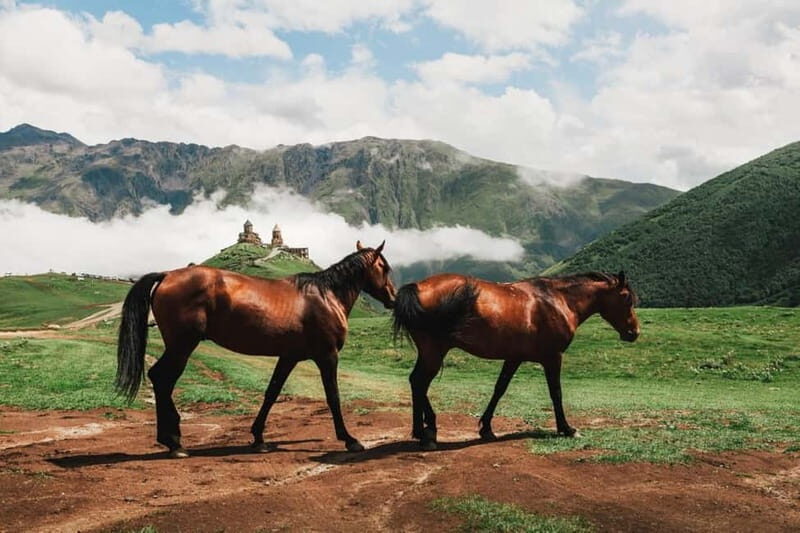 Roads were made for journeys, not the destinations. - Practical Tips for Participants