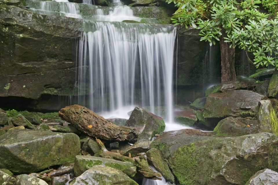 Roaring Fork Trail Self-Guided Driving Audio Tour - Exploring the Tour Stops