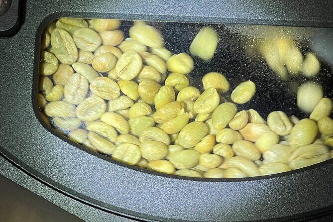 Roast Specialty Coffee with Guided Tasting - Key Points