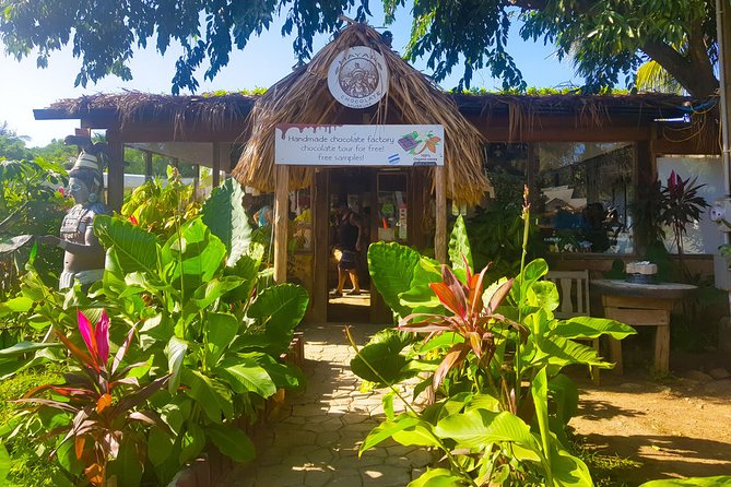 Roatan by Land and Sea - Snorkeling Roatans Vibrant Coral Reefs