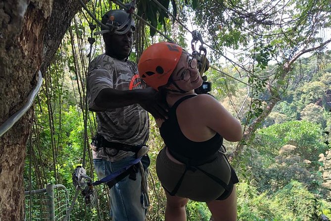 Roatan Canopy Zipline Tour - Tour Overview