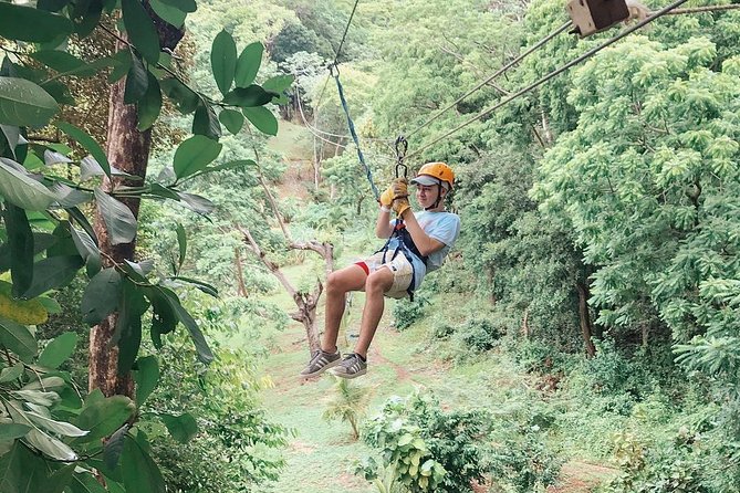 Roatan Canopy Zipline Tour - Zipline Experience