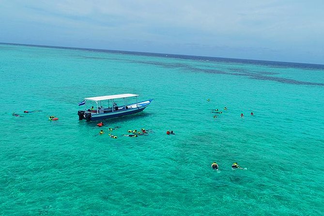 Roatan North Side Mangroves, Starfish, Shipwreck Snorkeling & Transportation - Tropical Refreshments and Snacks Included