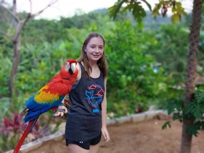 Roatán: Private Monkey and Sloth Sanctuary Tour - Key Points