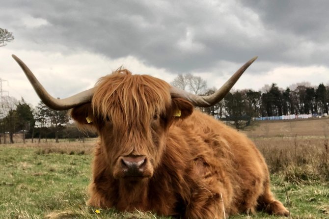 Rob Roy,Mary Queen Of Scots,Castles,Highlands,Lochs,Trossachs,Whisky! - A Taste of Scottish Whisky