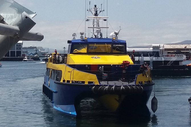 Robben Island + Stellenbosch Wineries From Cape Town Incl Tickets - Tour Flexibility