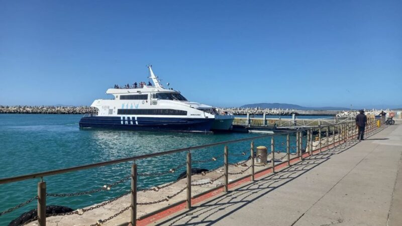 Robben Island, Table Mountain & Kirstenbosch, From Cape Town - Robben Island Highlights
