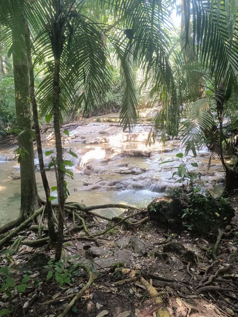 Roberto Barrios Waterfalls From Palenque - Key Points