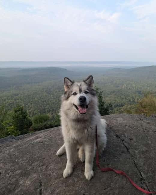 Robertson Cliffs: Where Falcons Fly Guided Hike - Final Thoughts