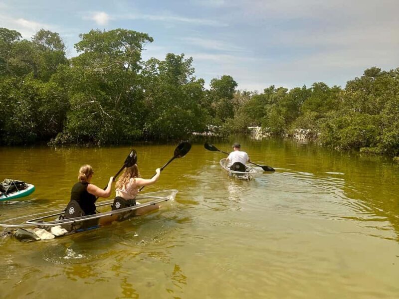 Robinson Preserve: Clear Kayak Ecotour - Key Points