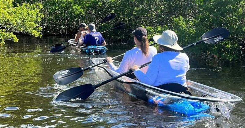Robinson Preserve: Clear Kayak Ecotour - The Experience: What to Expect on Your Kayaking Adventure