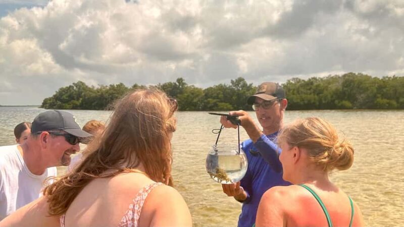 Robinson Preserve: Clear Kayak Ecotour - Why You Should Consider This Tour