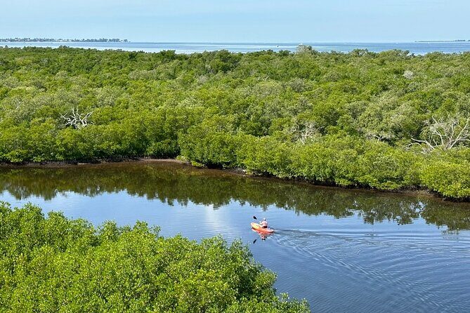 Robinson Preserve Mangrove Tour - An In-Depth Look at the Robinson Preserve Mangrove Tour