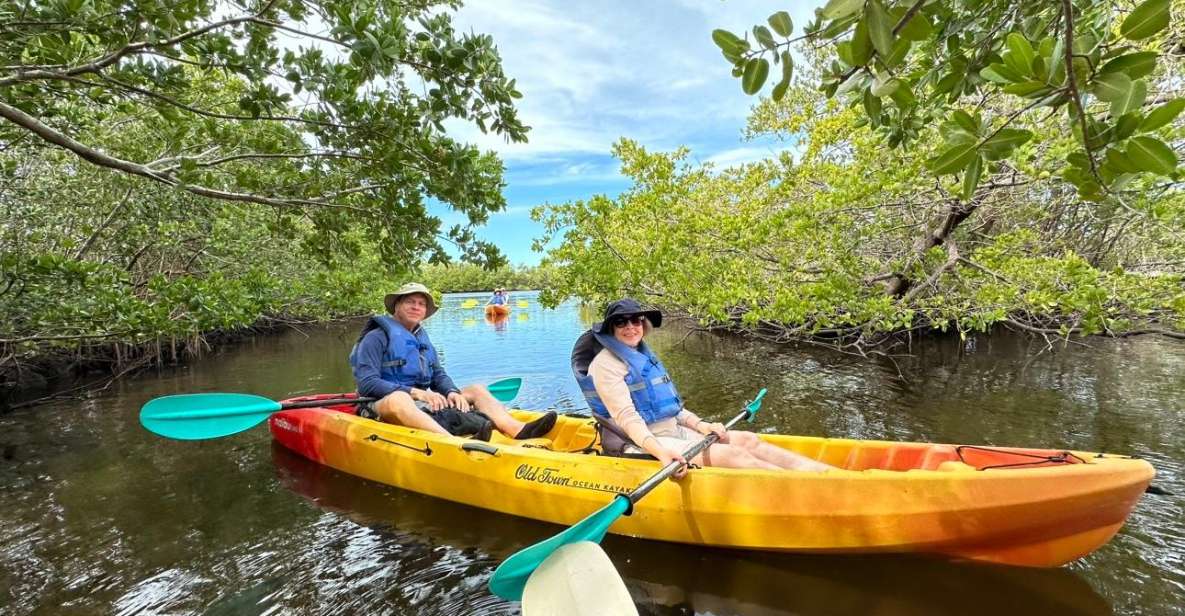 Robinson Preserve Mangrove Tour - Kayak Experience