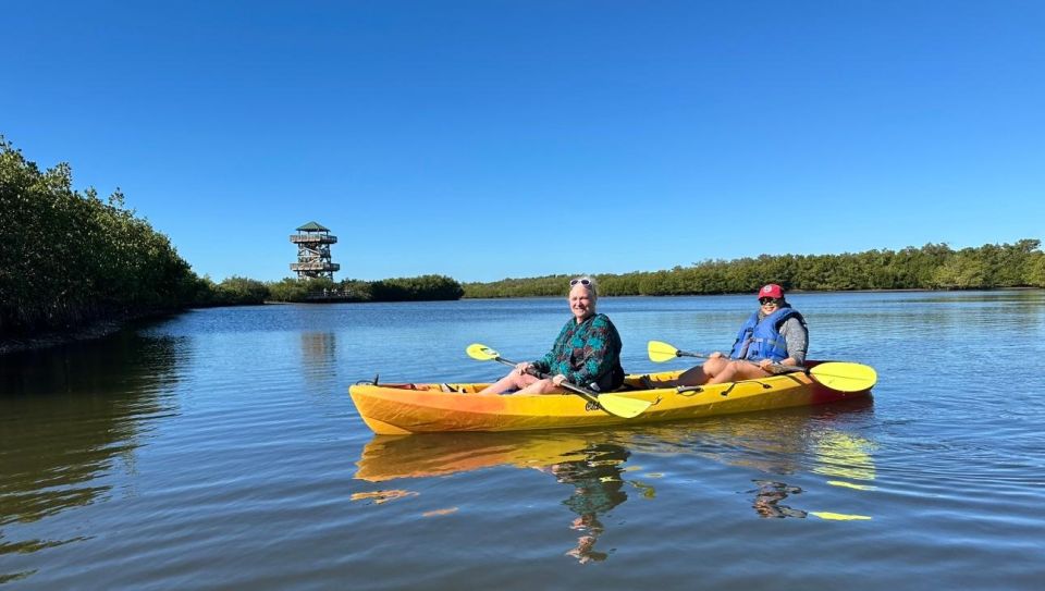 Robinson Preserve Mangrove Tour - Mangrove Ecosystem