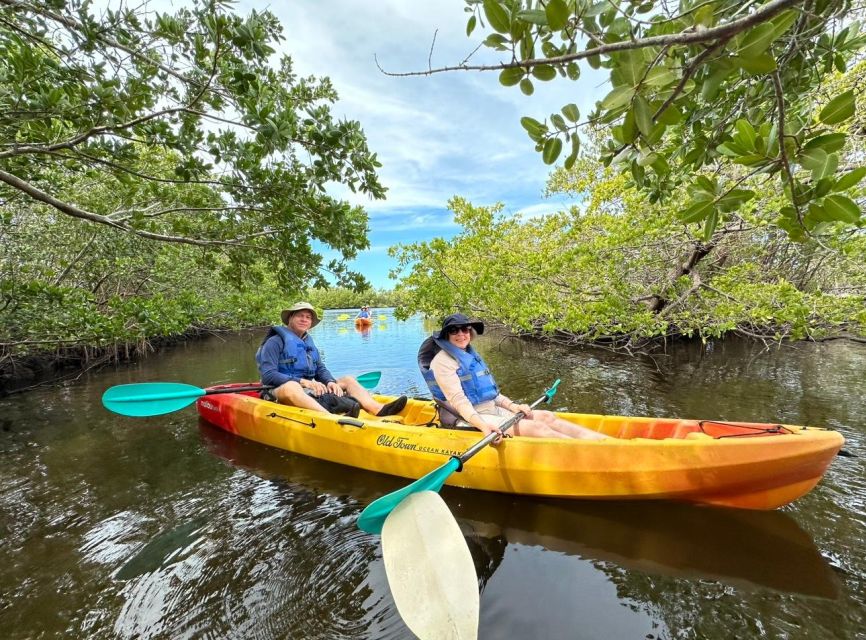 Robinson Preserve Mangrove Tour - Equipment and Gear
