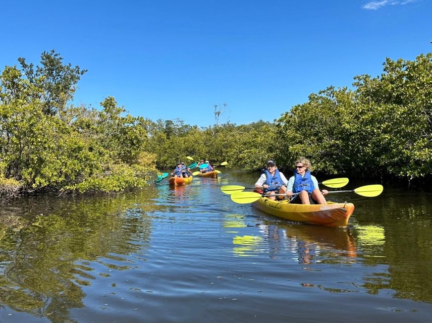 Robinson Preserve Mangrove Tour - Group Configurations