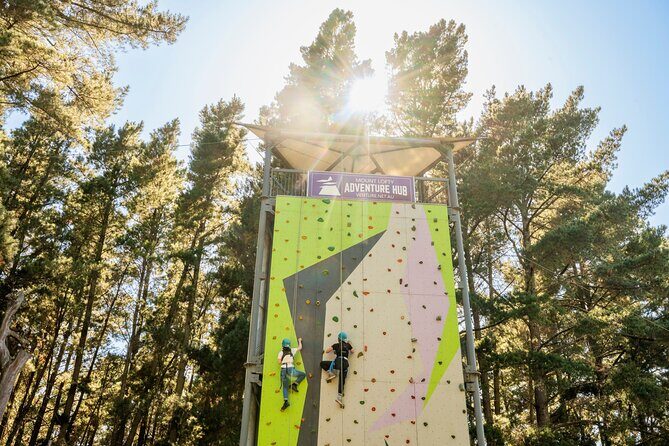 Rock Climb, Zipline and Mega Swing Experience - Key Points