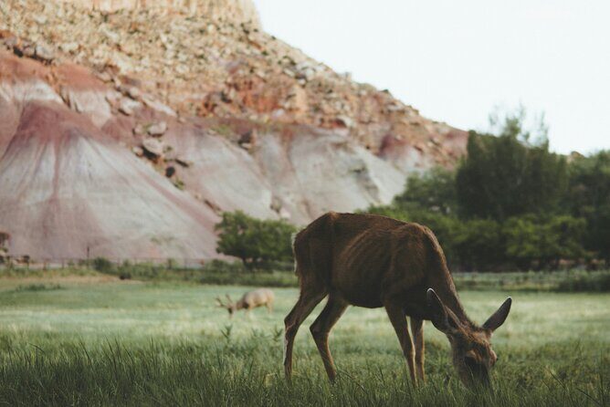 Rock Climbing Day Trip at Smith Rock State Park - The Sum Up: Why This Climbing Day Trip Is Worth Considering