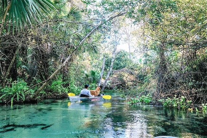 Rock Springs 2-Hour Glass Bottom Guided Kayak Eco Tour - Inclusions and Group Size