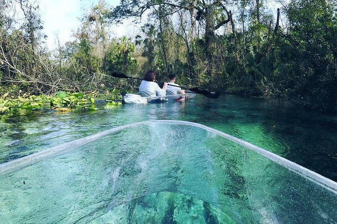 Rock Springs 2-Hour Glass Bottom Guided Kayak Eco Tour - Reviews and Important Note