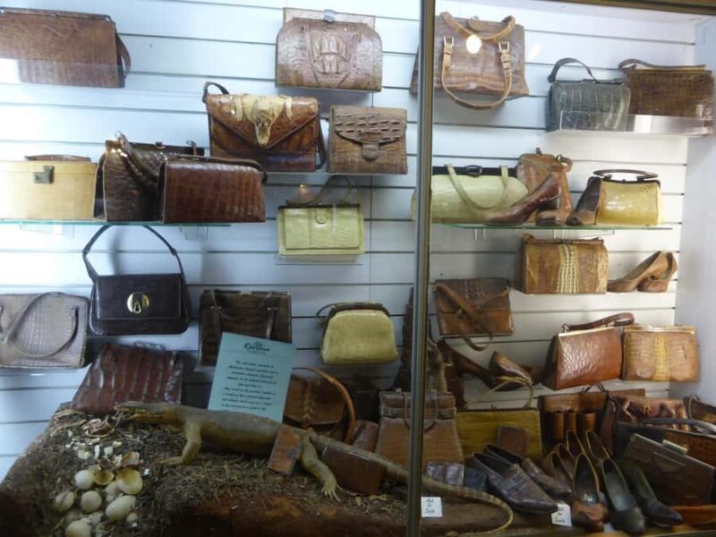 Rockhampton: Koorana Crocodile Farm Guided Tour - Who Is It Best For?