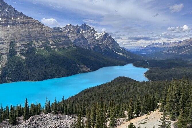 Rockies Day Trip Moraine Lake Lake Louise Peyto Lake and Banff - Why This Tour Offers Great Value