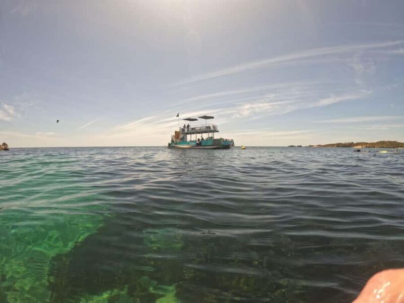 Rockingham: 3 Island Wildlife Snorkeling Cruise with Lunch - FAQs