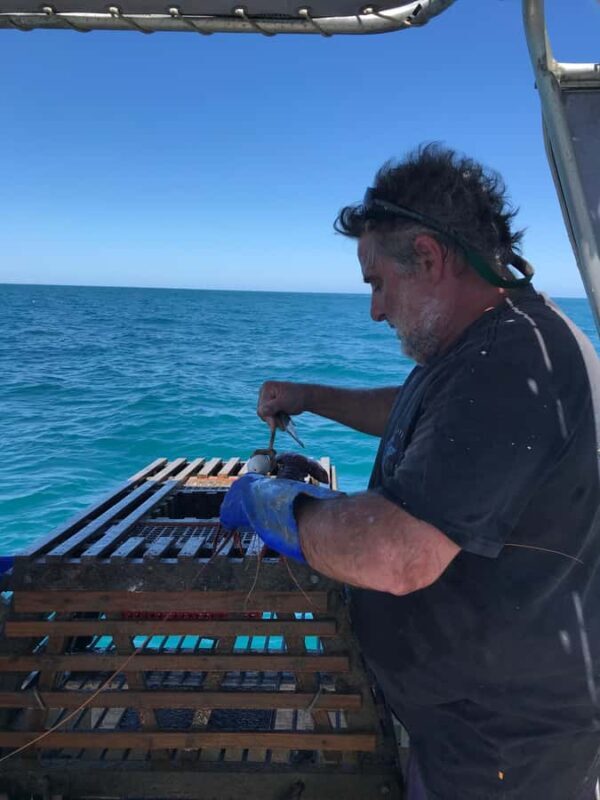 Rockingham: Lobster Catch and Keep Tour with Refreshments - Important Tips for Participants