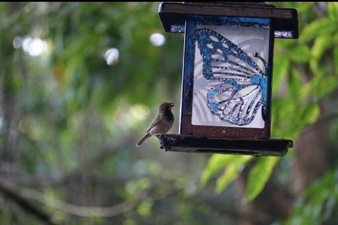 Rockland Bird Sanctuary and Hip-Strip Shopping - Frequently Asked Questions