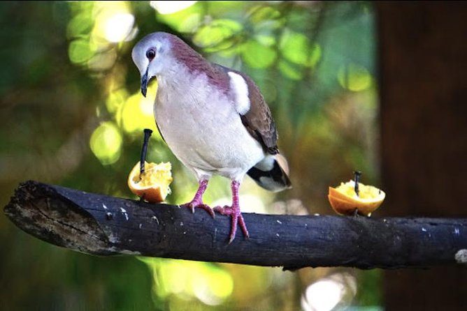 Rockland Bird Sanctuary and Hip-Strip Shopping - Accessibility and Weather Conditions